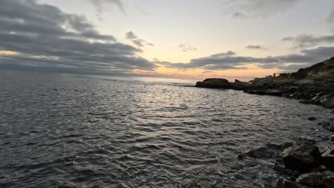 Shore time with the Seals #sunset #ocean #views #seals San Diego August 2025