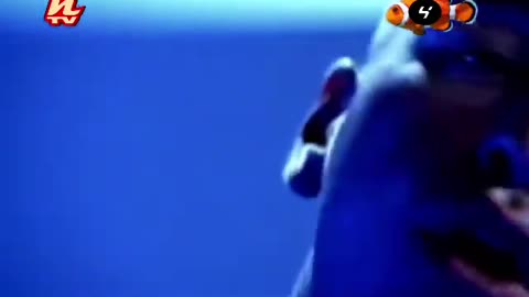 Eros Ramazzotti - Fuego en el Fuego | HTV: Tu5 (Puesto #4) (Noviembre 2000)