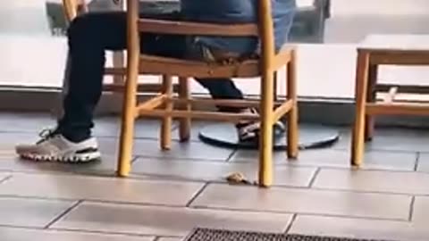 Indian migrant pooping his pants in a Starbucks or Tim Hortons