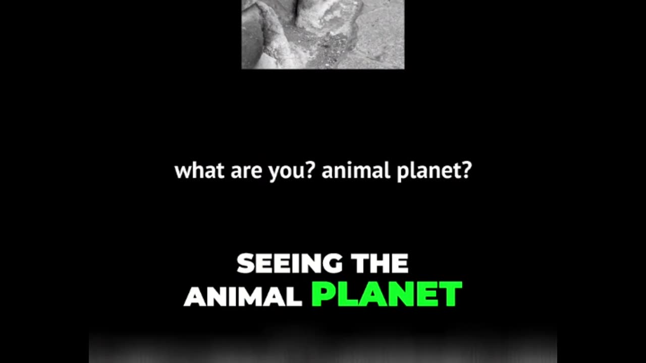 I Went To Tokyo For The REA Experience... And It Blew My Mind!