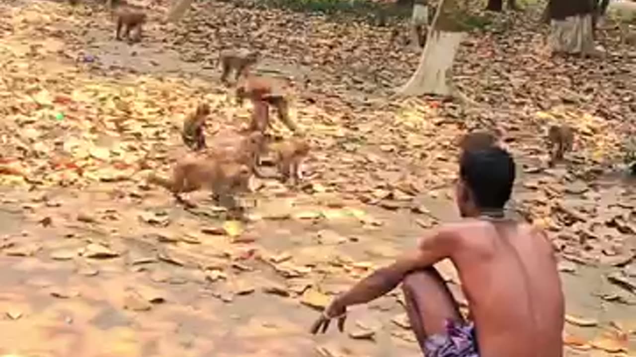 Funny
