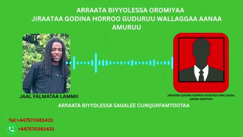 Qophii Addaa ONM-ABO Sadaasa 11-2025 itti dhiyaadhaa!