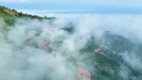 🎹 Relaxing Piano Music for Deep Sleep | Stress Relief & Peaceful Piano Melodies