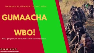Gabaasa Gumaacha ONM-ABO Onkoloolessa 26-2025 itti dhiyaadhaa!