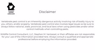 How often should you refresh Selontra rodent bait?