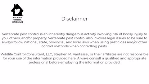 How often should you refresh Selontra rodent bait?