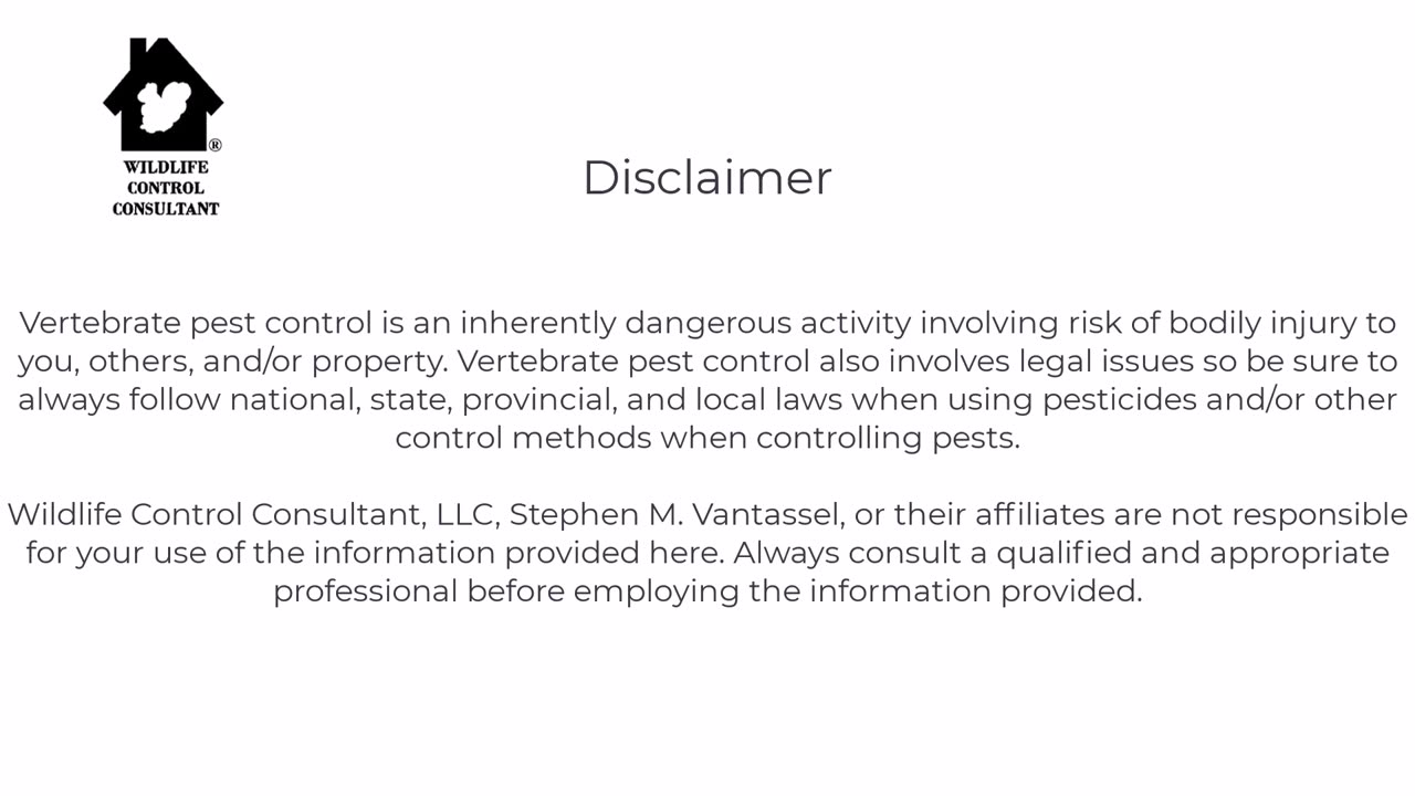 How often should you refresh Selontra rodent bait?