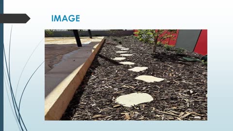 Best Lawn Care Services in Canning Vale