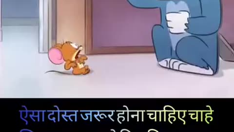 Funny videos