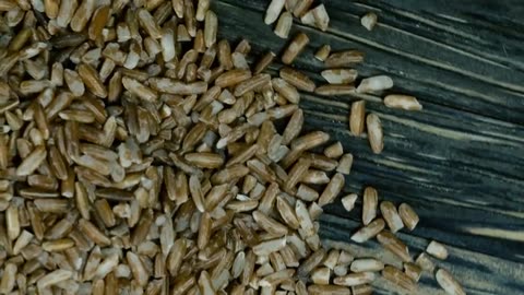 We Wuz Ethnicities (Debunked) – Collect ’Em All Edition | Celtainian Chronicles