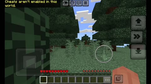 Trying to cheat in Hardcore Bedrock