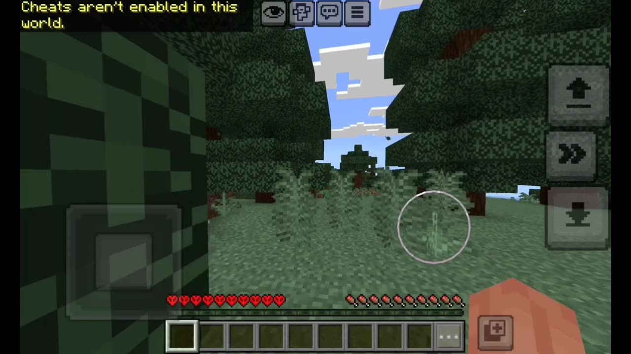 Trying to cheat in Hardcore Bedrock