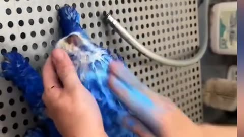 Some bad people paint this puppy for fun