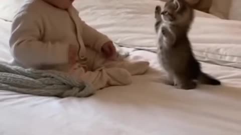 Cute Baby Playing with Adorable Animals 🐶🐱 | Heartwarming Moments You’ll Love