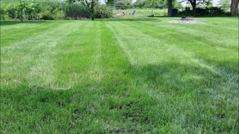 LT Lawn Maintenance