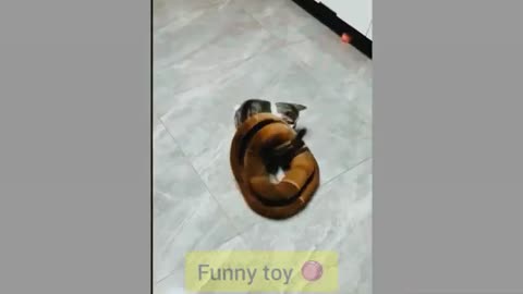 Try not to laugh