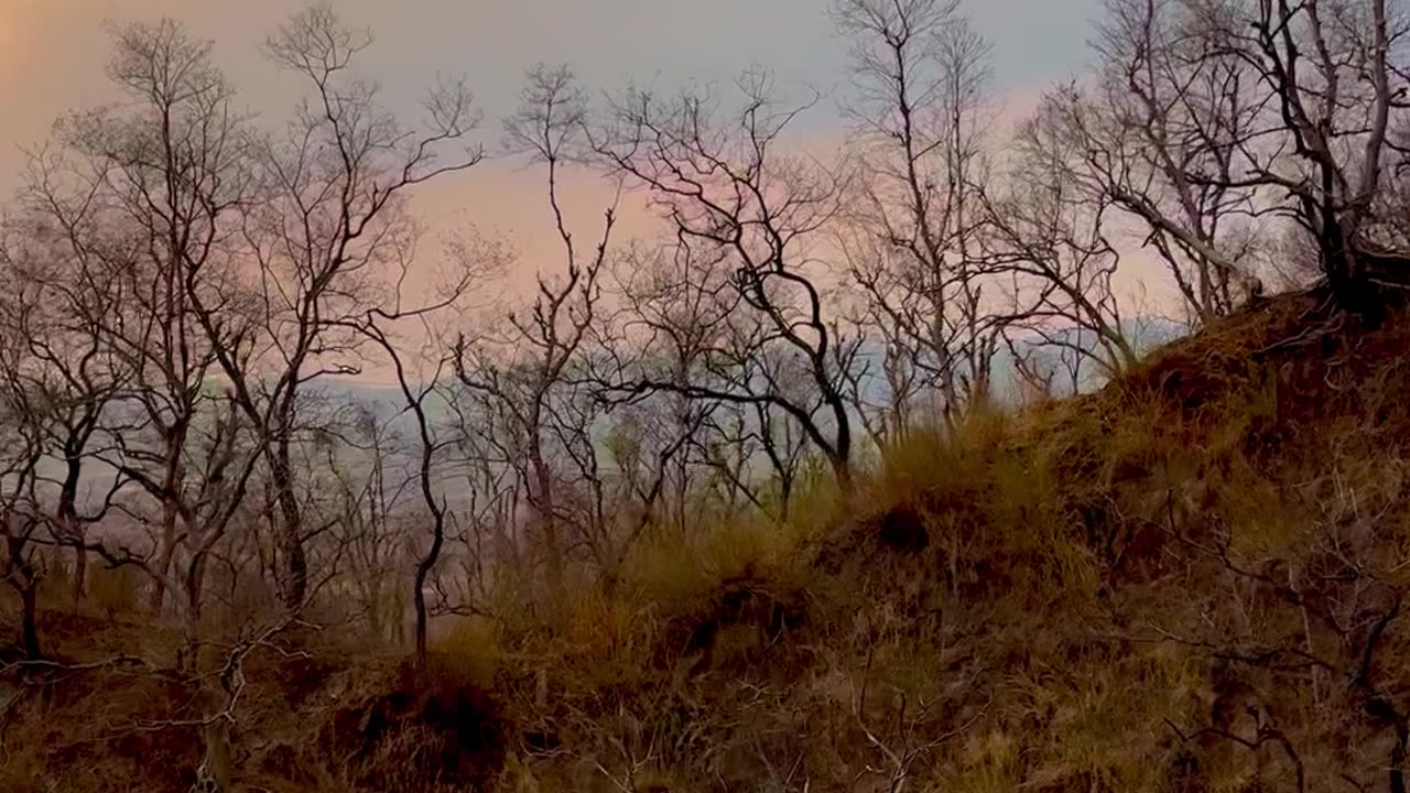Magnificent View of Nature❤️