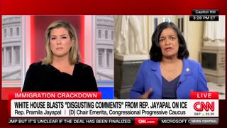 Dem Rep Justifies Labeling ICE 'Terrorist Force'