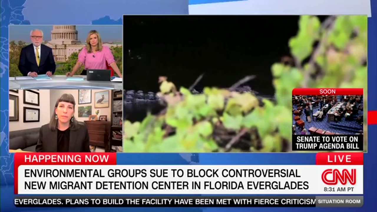 Environmentalist Wacko Says She's More Worried About Wildlife Than People At Alligator Alcatraz