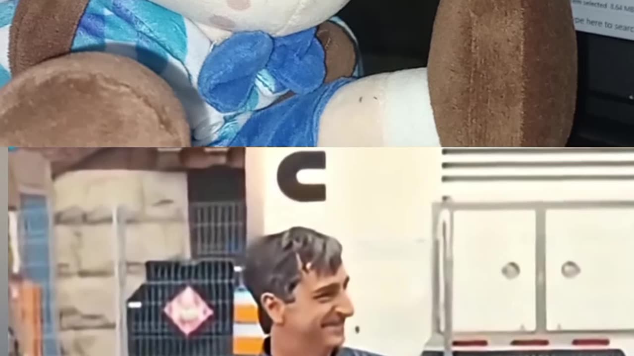 Funny video