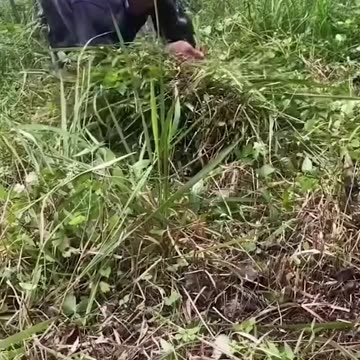 This man is so strong!.hd