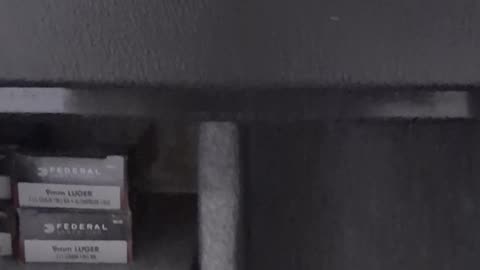 Checking out the gun safe. See what's in the safe !