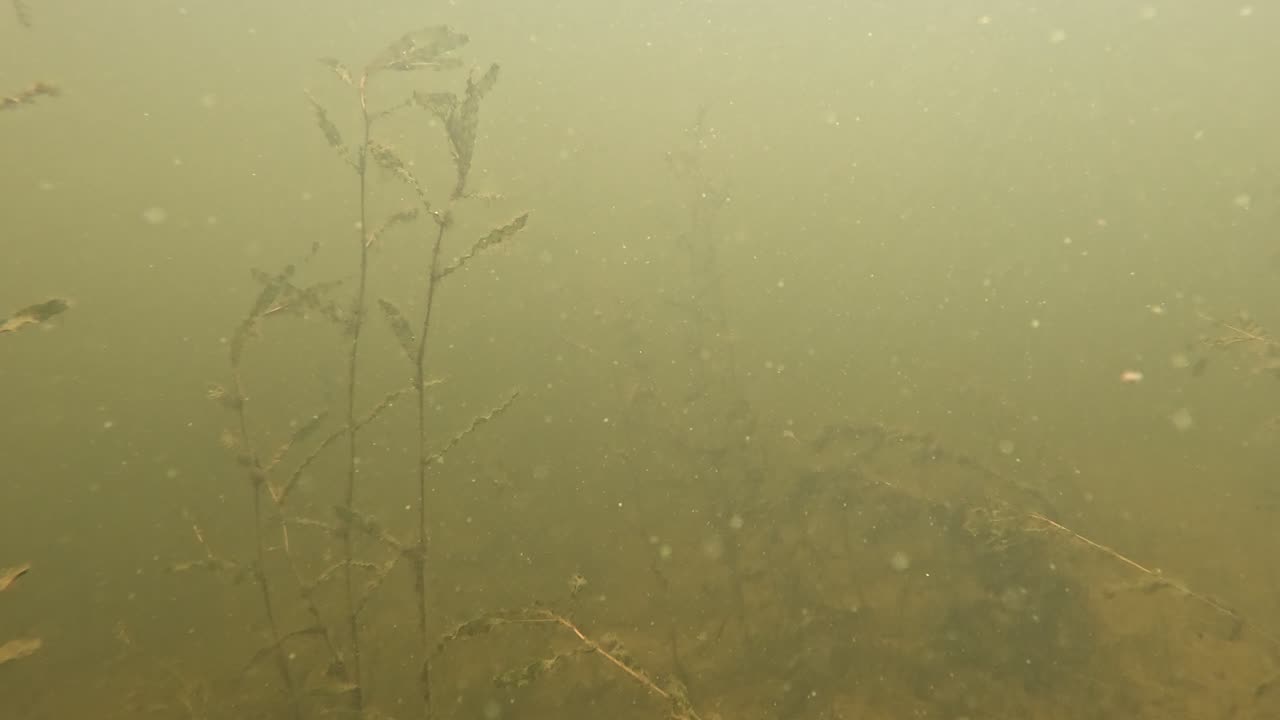 some cloudy water
