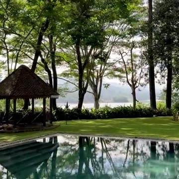 "Relaxing Nature Around the Hotel 🌿"