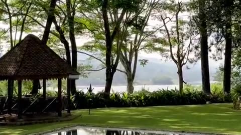 "Relaxing Nature Around the Hotel 🌿"