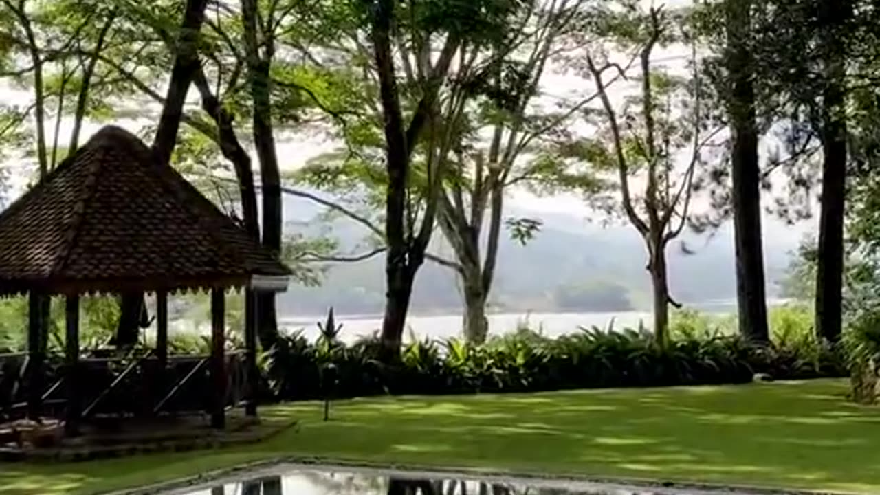 "Relaxing Nature Around the Hotel 🌿"