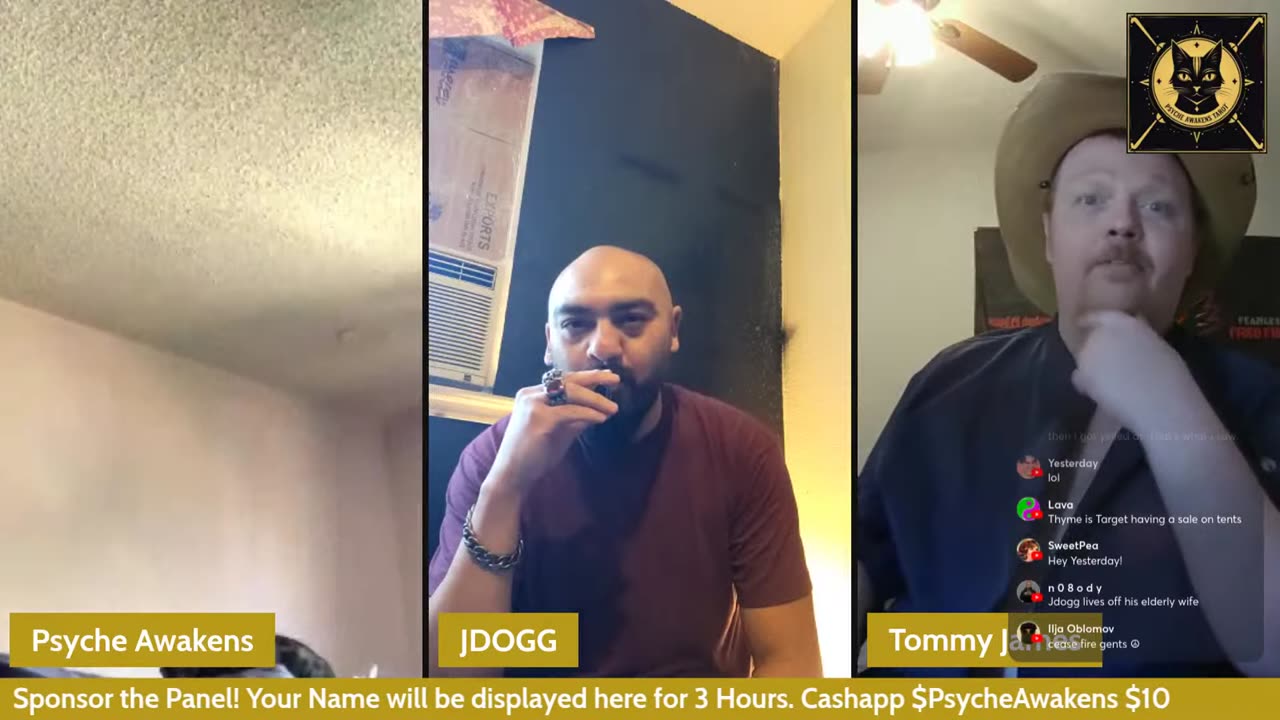 07/31/25 Psyche Awakens VOD: "Dealing with Haters Open Panel Tarot and Cats"