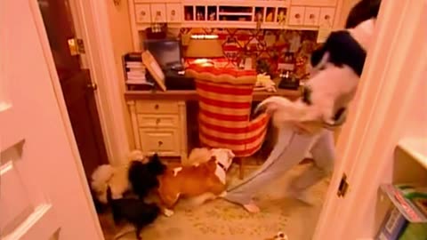 Ozzy Osbourne Loses It Over Balloon & Dog Chaos!