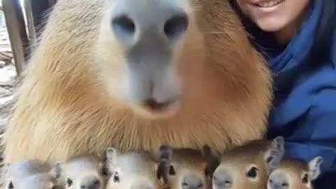 Giant Animals You Won't Believe Exist — Prepare to Be AMAZED!