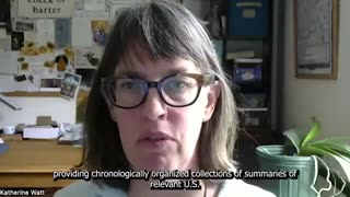 Katherine Watt - Netherlands lawsuit Testimony