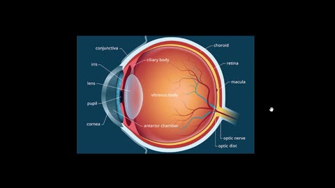 Preventing Cataracts, Heart Disease, and Diabetes