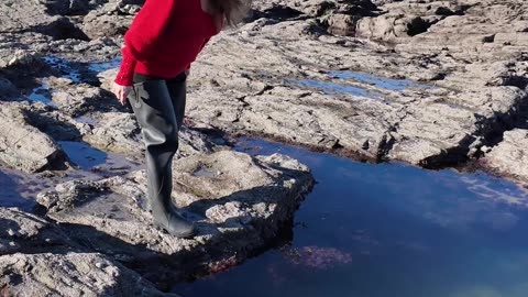 My First Review of Le Chameau Ocean Waders!