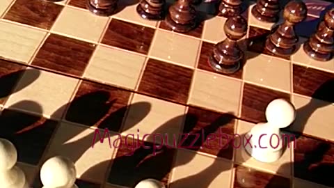 Playing chess board game on running engine BMW m52tub20 in BMW E39
