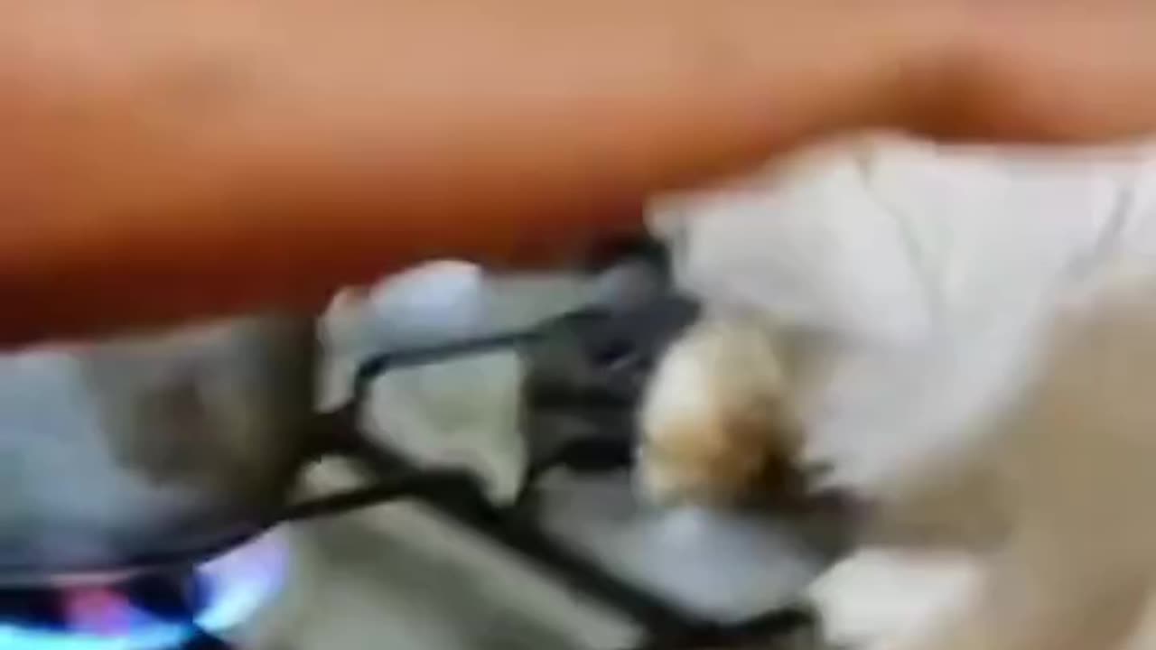 watch till the end