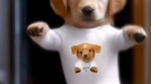 Dog Dance Motorcycle