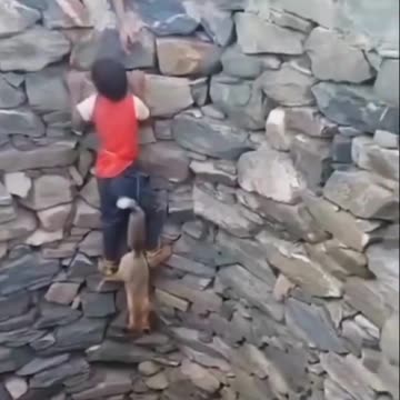 Courage Without Strategy Can Backfire🔥