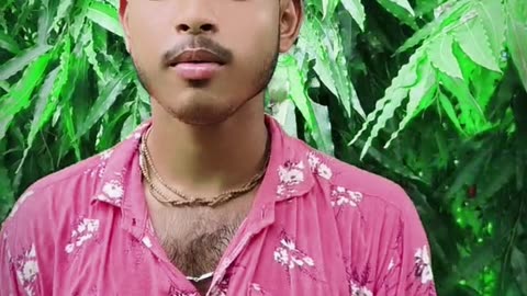 ভালো বাসা
