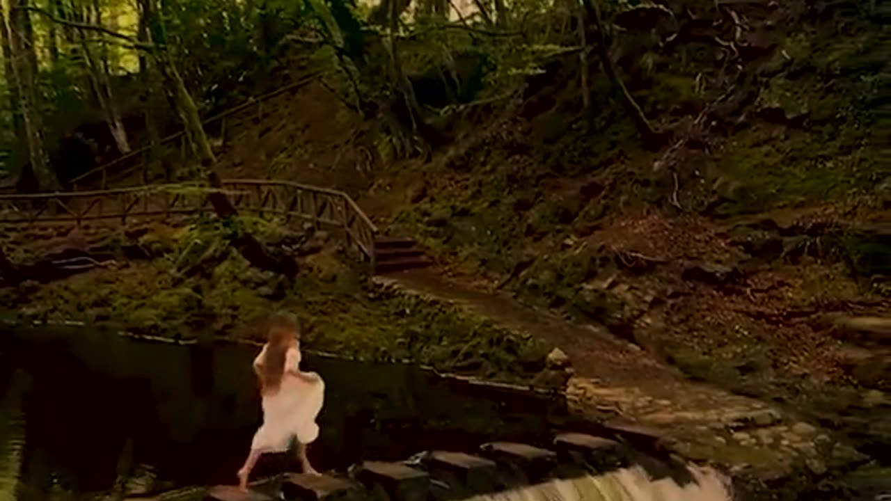 Forest Fairy core