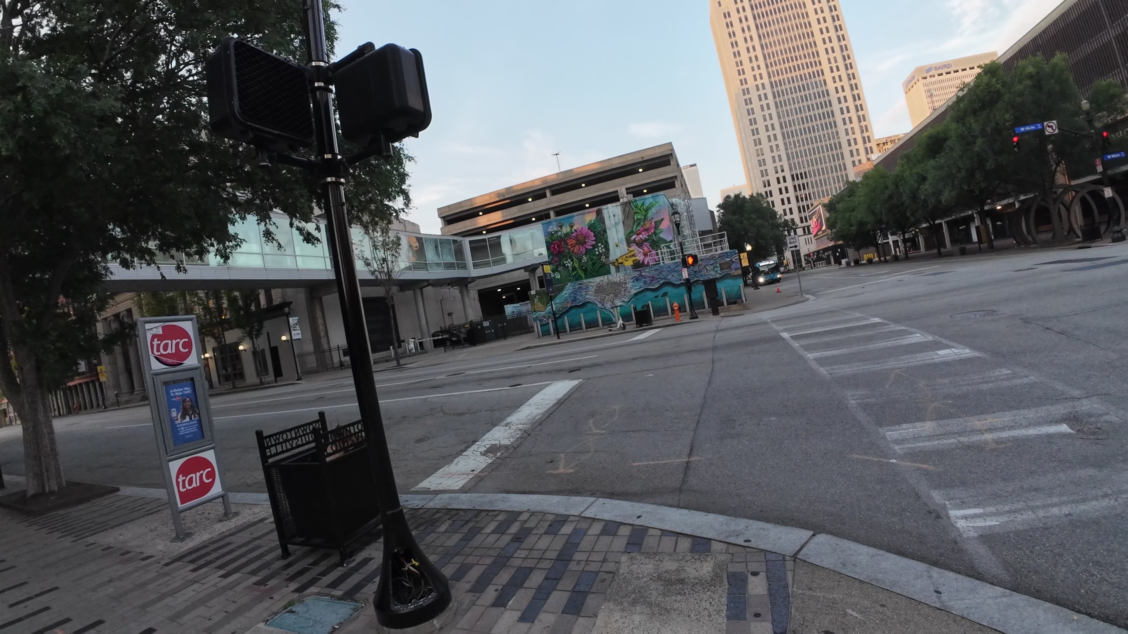 Rep Fitness Strive Series Curved Treadmill | Home Gym Week in Review