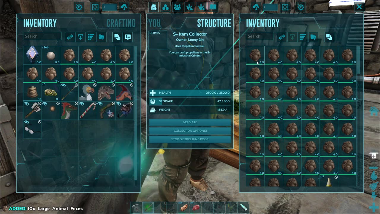 Ark Survival Evolved