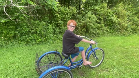 Schwinn Meridian Cargo Bike