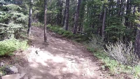 "Prairie Mountain Awakens – My First Summit Stream of the Year 2025"