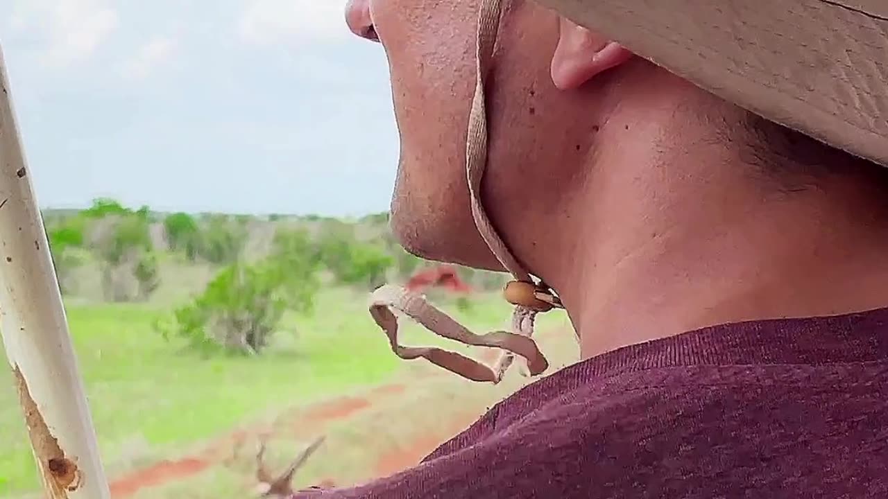 Experience Virunga National Park