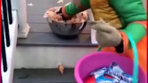 Hoodrat Motherhood 🗑️