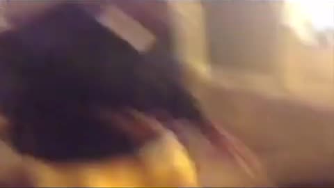 😭😂 You Won't Believe This Insane Moment! | FunFM