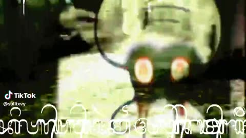 Video of terror